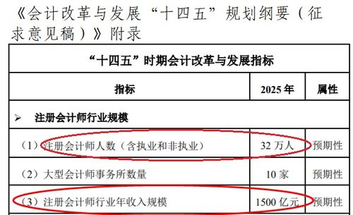 利好來了 CPA行業缺口擴大,考生機會多,財政部正式官宣