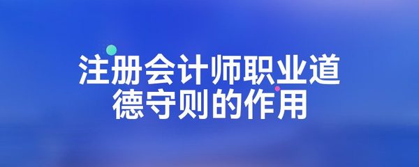 注冊會計師職業(yè)道德守則的作用