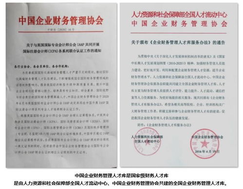icpa國際注冊會計師納入國家級財務人才庫 iaap公會