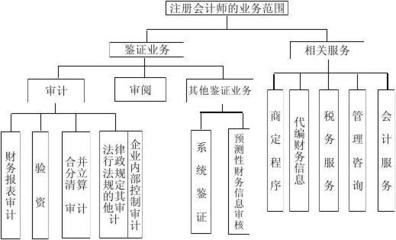 2011注冊會計師考試審計-背誦