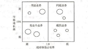 2017年注會考試 公司戰(zhàn)略 高頻考點(diǎn) 業(yè)務(wù)組合分析 波士頓矩陣