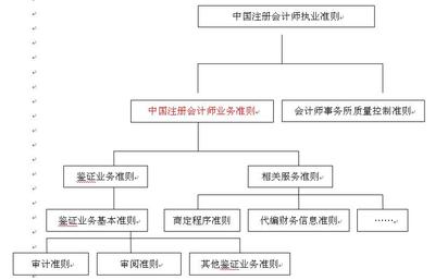 2010年《審計》輔導:注冊會計師執業準則(1)