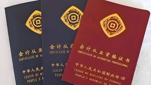 高級會計師和注冊會計師有什么區別 誰才是財務界的扛把子