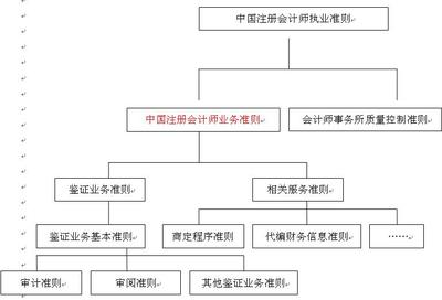 2011注冊會計師《審計》講義:第四章(1)