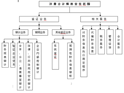 2011注冊會計師考試審計第二章第二節-注冊會計師-學易網校