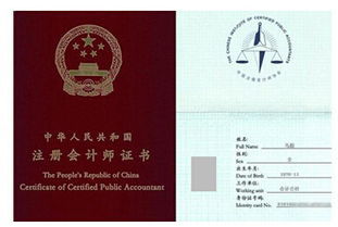 做上市公司審計需要什么條件