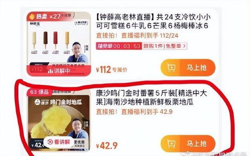 鐘薛高的冰火兩重天 從66元雪糕神話到破產困境